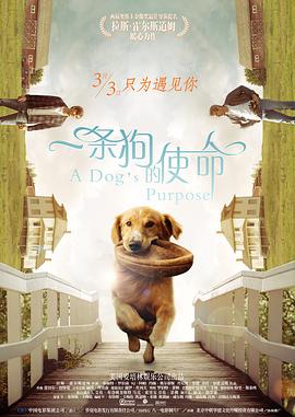 亚洲精品日韩欧美